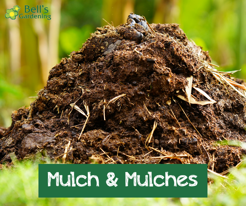 Mulch & Mulches