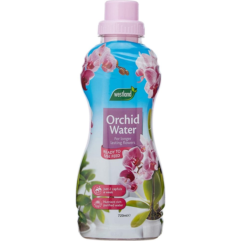 Westland Westland Orchid Water Display Bells Gardening