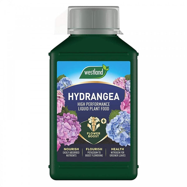 Westland Hydrangea Liquid Plant Food 1L