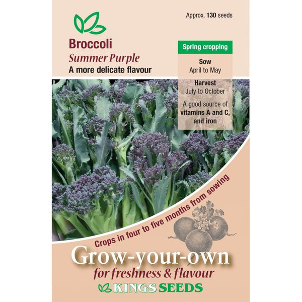 Broccoli Sprouting Summer Purple