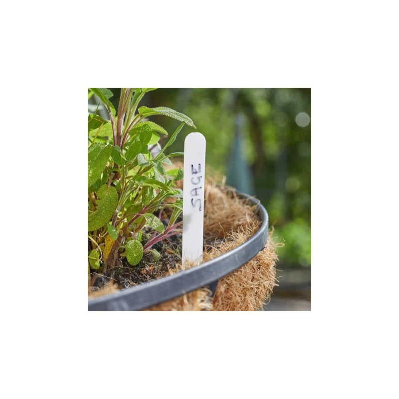 12.5cm Plant Labels 50pk