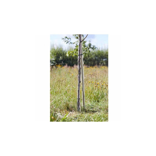 Round Tree Stake 2.1m x 50mm, FSC 1