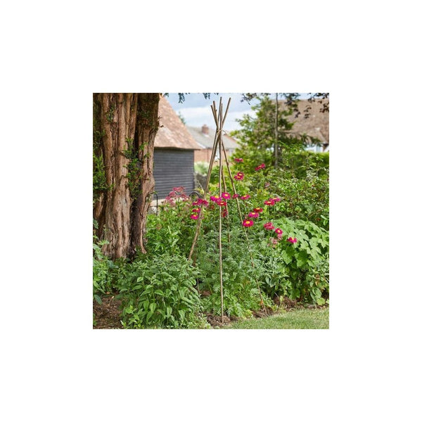 150cm Willow Canes - Bundle of 12