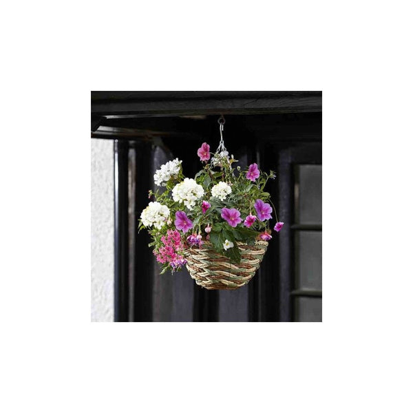 12in Trinity Hanging Basket