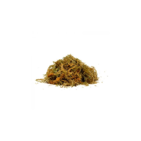 Sphagnum Moss - Jumbo