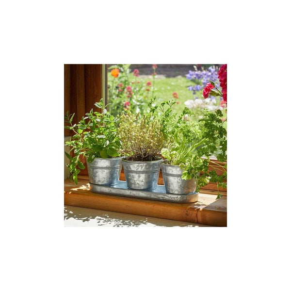 Windowsill Herb Pots - Galvanised