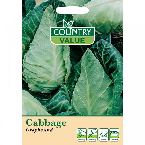 Cabbage Greyhound seeds