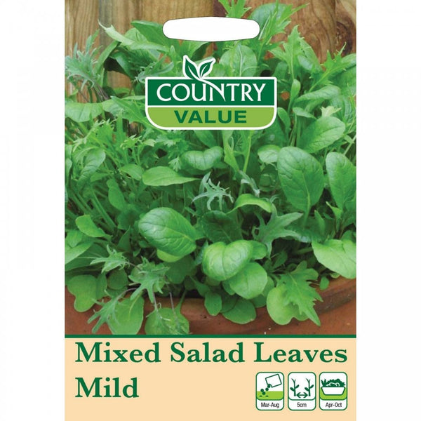 Mixed Salad Leaves Mild Seeds