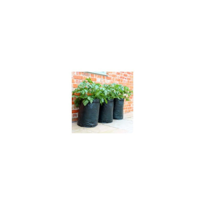 Potato Patio Planter - Pack Of 3