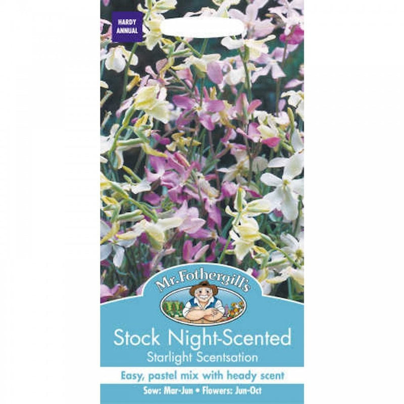 Stock Night Scented Starlight Scentsation Seeds