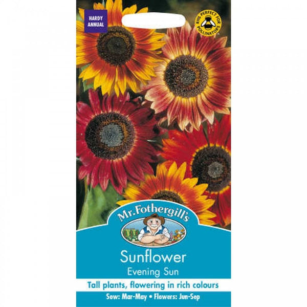 Sunflower Evenign Sun Seeds- By Mr Forthegills