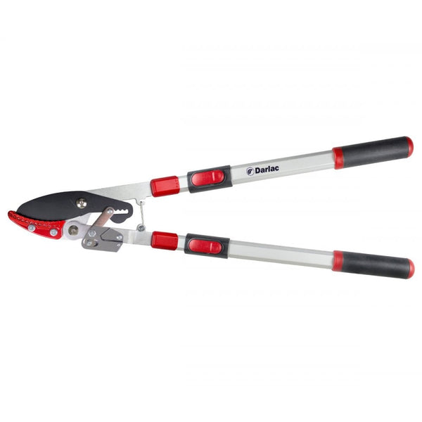 DP974 Heavy Duty Telescopic Ratchet Lopper