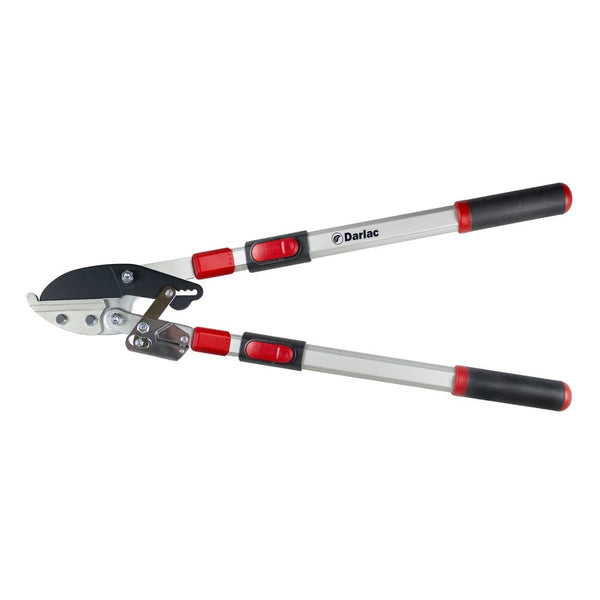 DP474A Telescopic Ratchet Lopper