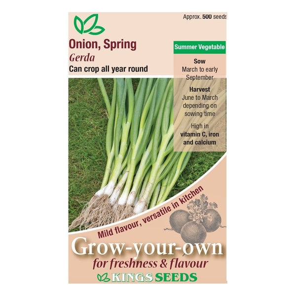 Onion Spring Gerda