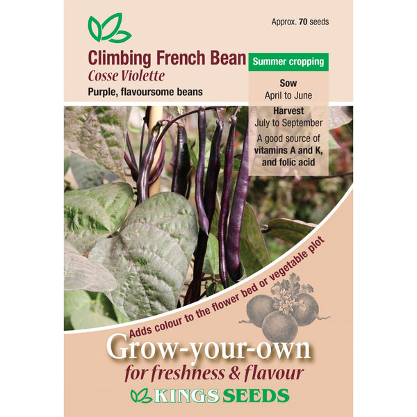 Climbing French Bean Cosse Violette